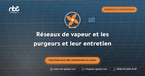 Réseaux de vapeur et les purgeurs et leur entretien