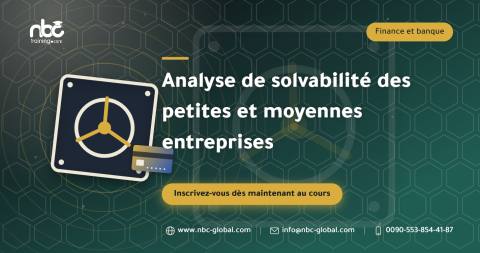 Analyse de solvabilité des petites et moyennes entreprises
