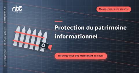 Protection du patrimoine informationnel