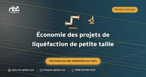 Économie des projets de liquéfaction de petite taille