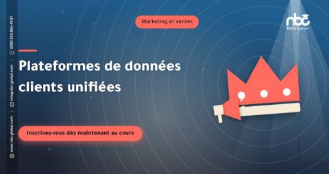 Plateformes de données clients unifiées