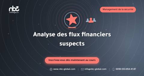 Analyse des flux financiers suspects