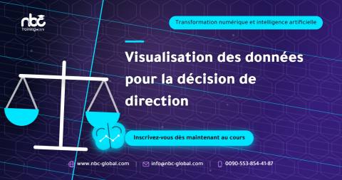 Visualisation des données pour la décision de direction