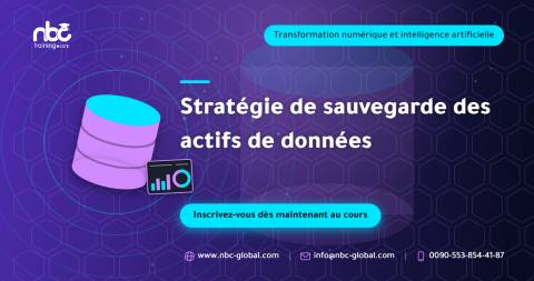 Stratégie de sauvegarde des actifs de données