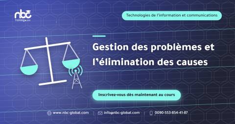 Gestion des problèmes et l’élimination des causes