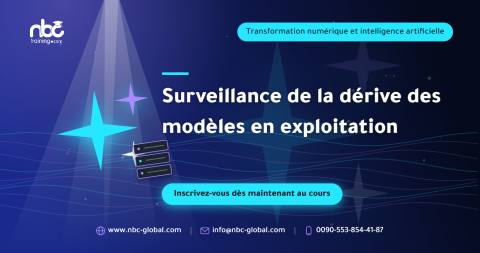 Surveillance de la dérive des modèles en exploitation