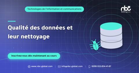 Qualité des données et leur nettoyage