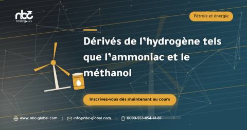 Dérivés de l’hydrogène tels que l’ammoniac et le méthanol