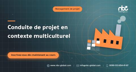 Conduite de projet en contexte multiculturel
