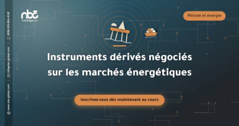 Instruments dérivés négociés sur les marchés énergétiques