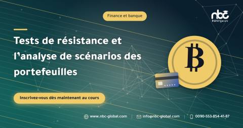 Tests de résistance et l’analyse de scénarios des portefeuilles