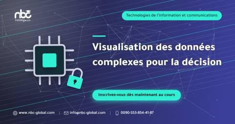 Visualisation des données complexes pour la décision