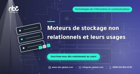 Moteurs de stockage non relationnels et leurs usages