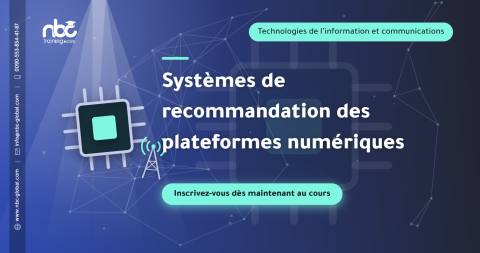 Systèmes de recommandation des plateformes numériques