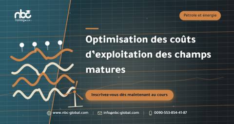 Optimisation des coûts d’exploitation des champs matures