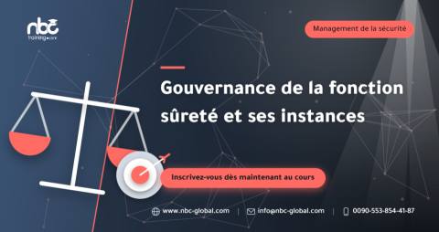 Gouvernance de la fonction sûreté et ses instances