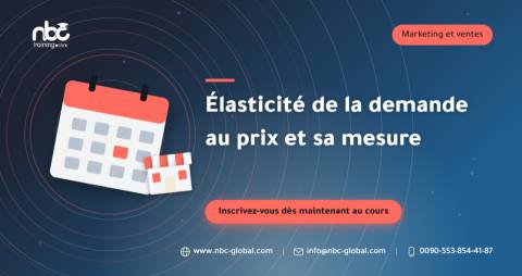Élasticité de la demande au prix et sa mesure