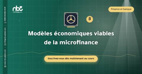 Modèles économiques viables de la microfinance