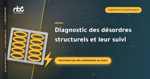 Diagnostic des désordres structurels et leur suivi