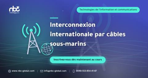 Interconnexion internationale par câbles sous-marins
