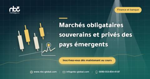 Marchés obligataires souverains et privés des pays émergents