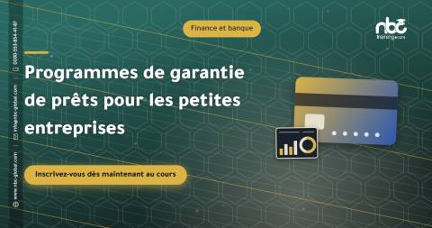 Programmes de garantie de prêts pour les petites entreprises
