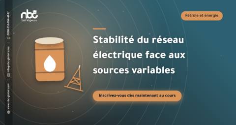 Stabilité du réseau électrique face aux sources variables