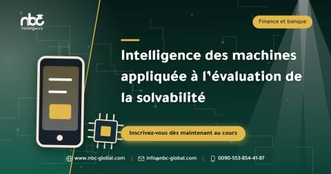 Intelligence des machines appliquée à l’évaluation de la solvabilité