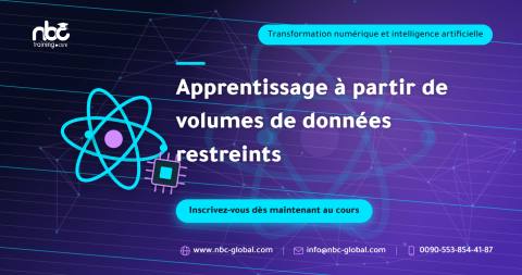 Apprentissage à partir de volumes de données restreints