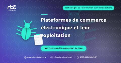 Plateformes de commerce électronique et leur exploitation