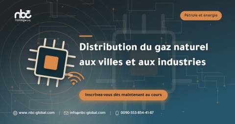 Distribution du gaz naturel aux villes et aux industries